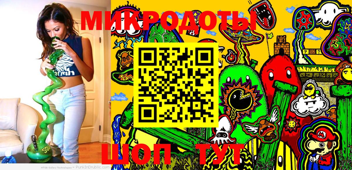 Псилоцибиновые грибы Cubensis Новозыбков